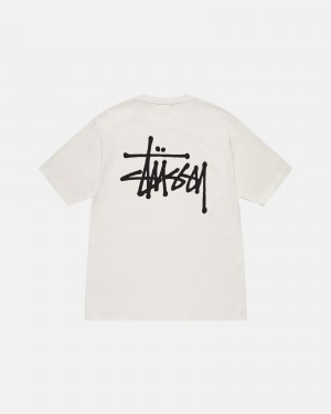 Camiseta Stussy Basic Pigment Dyed Beige | 94507-QBKD