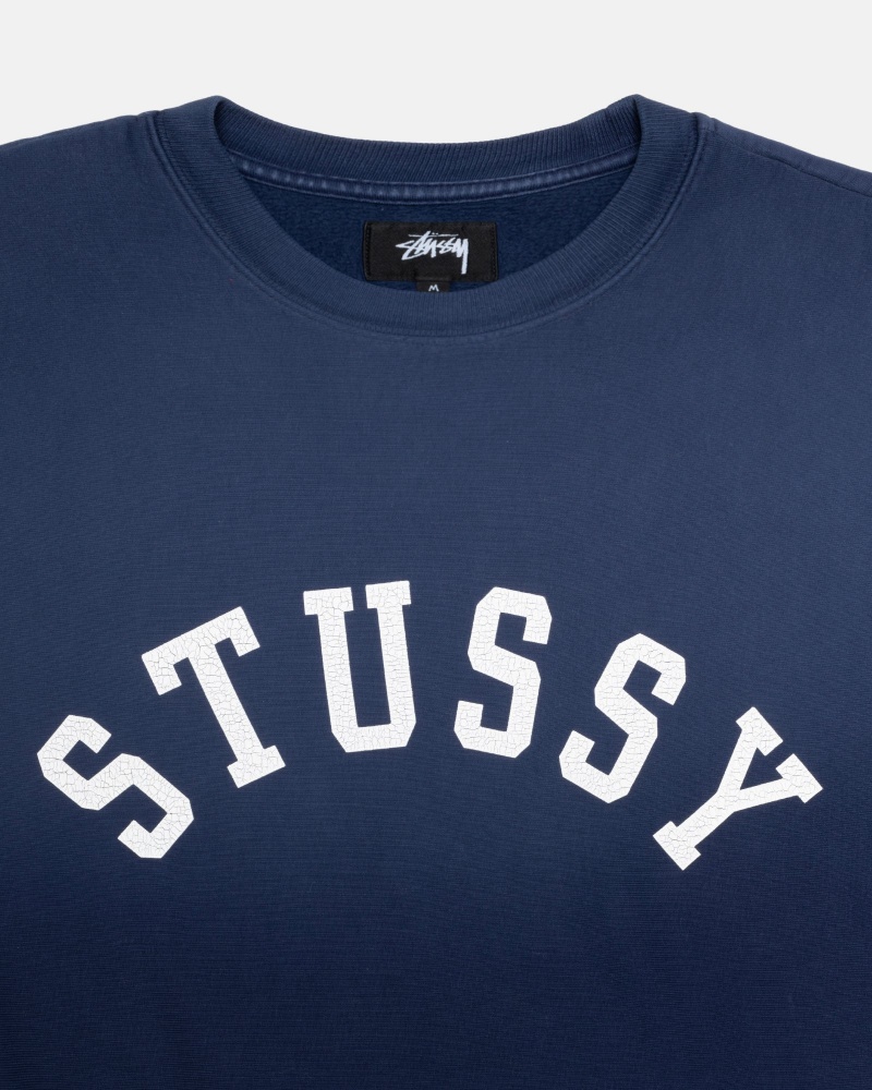 Sudaderas Stussy Sun Faded Oversized Crew Azul Marino | 23847-NPFI